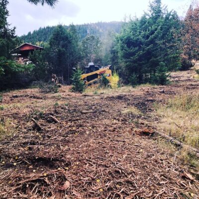 idaho land clearing