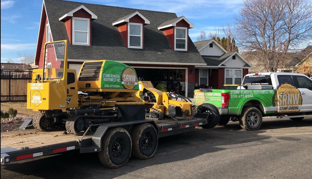 boise stump removal