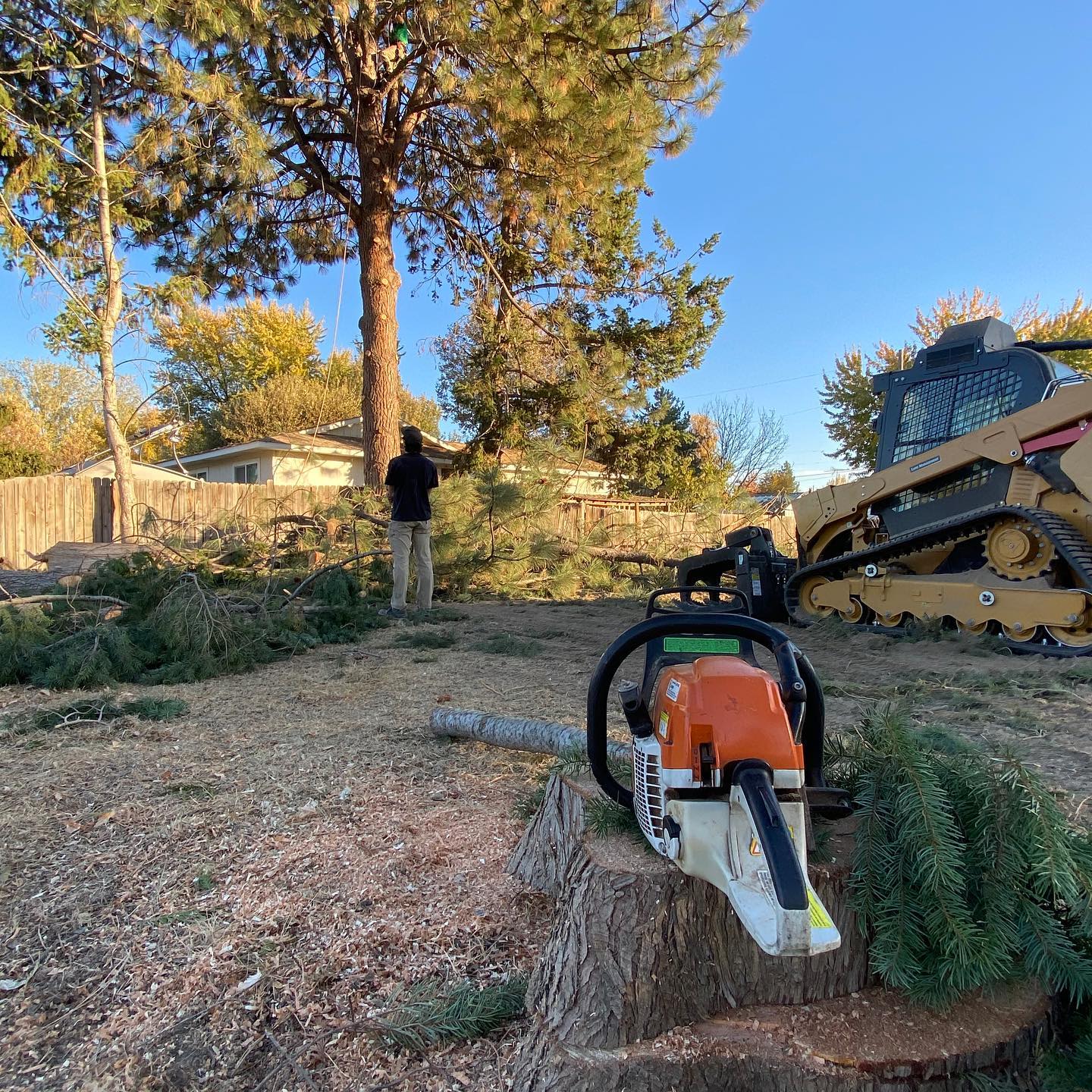 land clearing near me