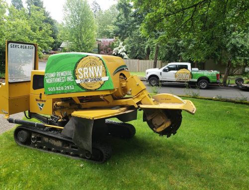 Stump Removal Business