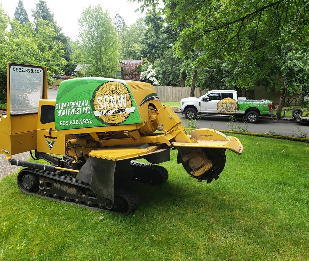 Stump Removal Business