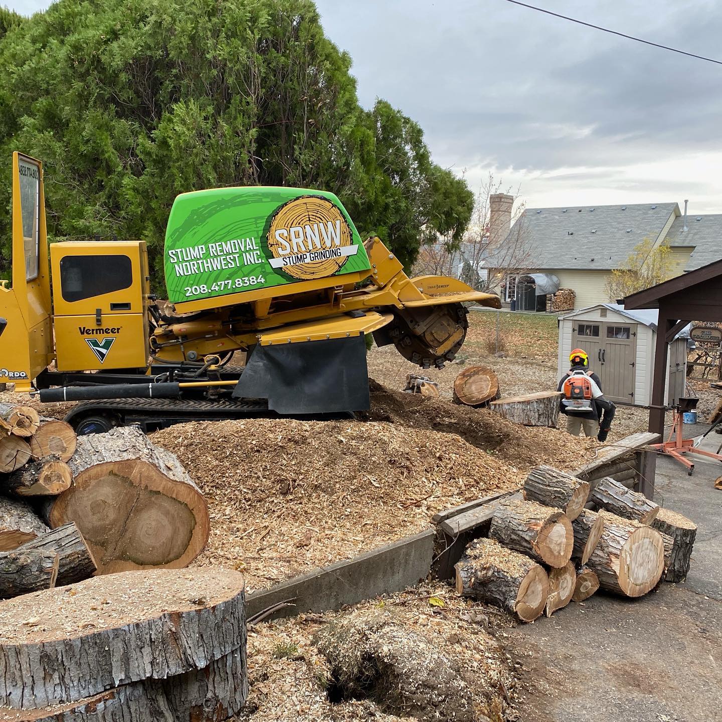 tree stump removal boise idaho