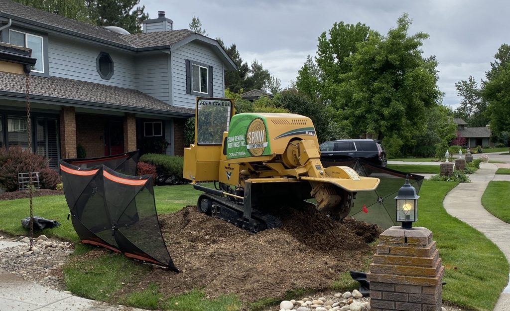 boise stump removal