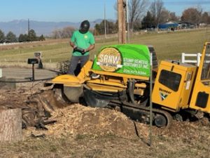 Mountain Home Stump Removal