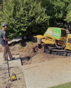 Years of Boise Stump Grinding Experience