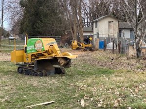 Dedicated Boise stump grinder