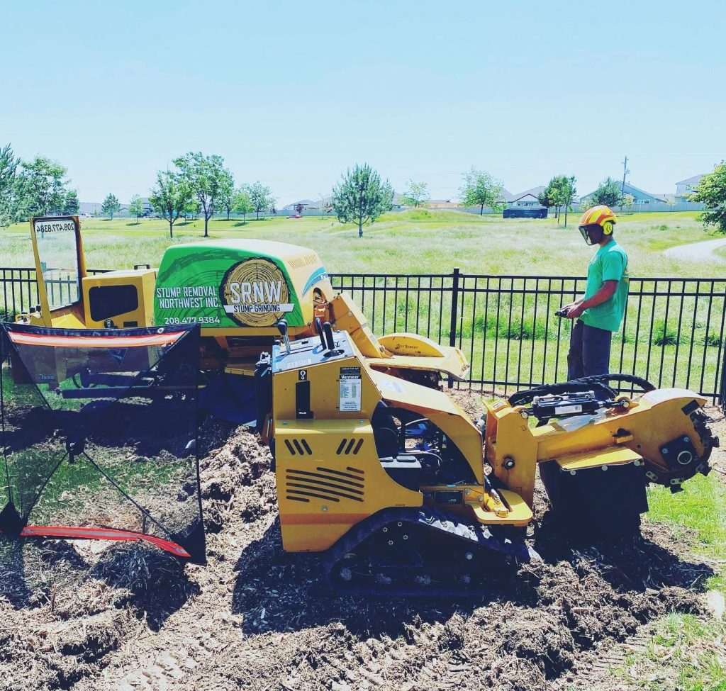 tree stump grinding boise idaho
