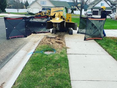 stump grinding boise service