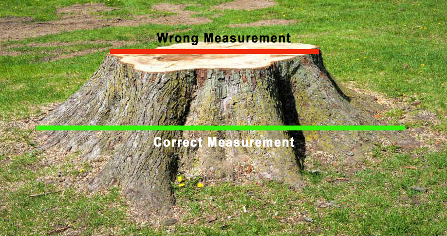 stump removal northwest measure a stump stump grinding measurement