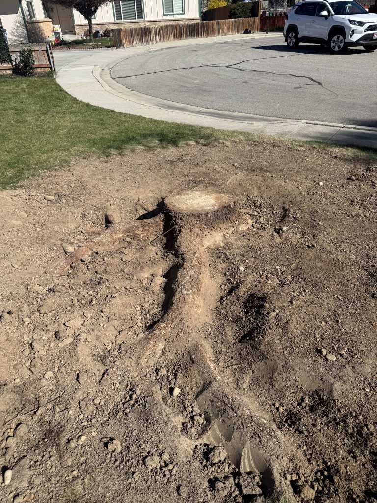 stump boise