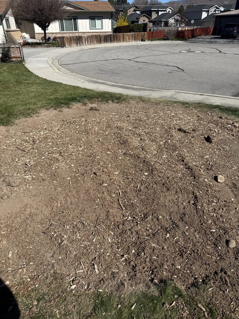 after stump boise