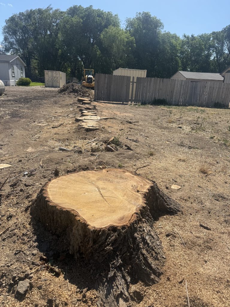 boise stump grinder