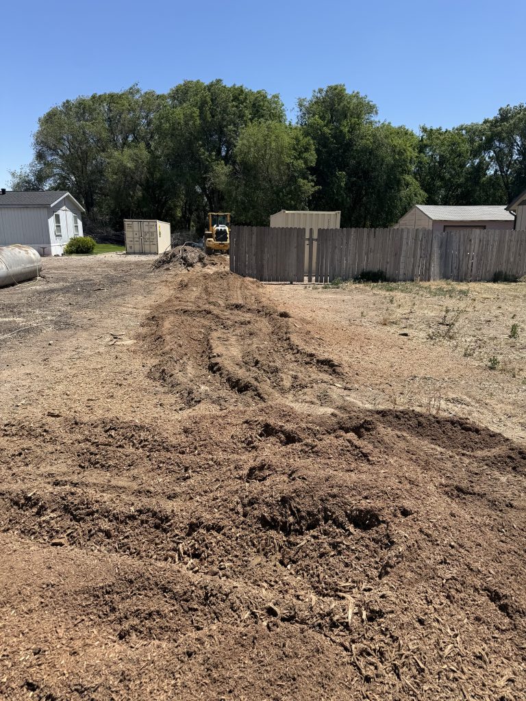 boise stump grind
