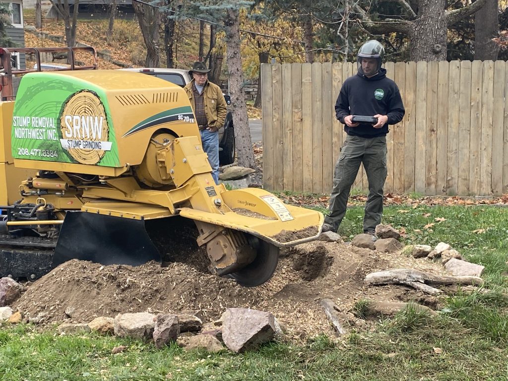 stump grinding boise