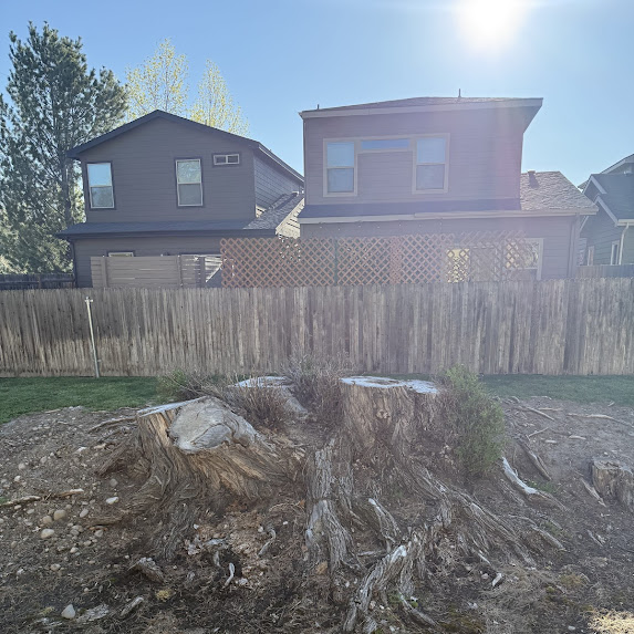 stump grinding before